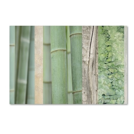 Cora Niele 'Green Bamboo Collage' Canvas Art,30x47